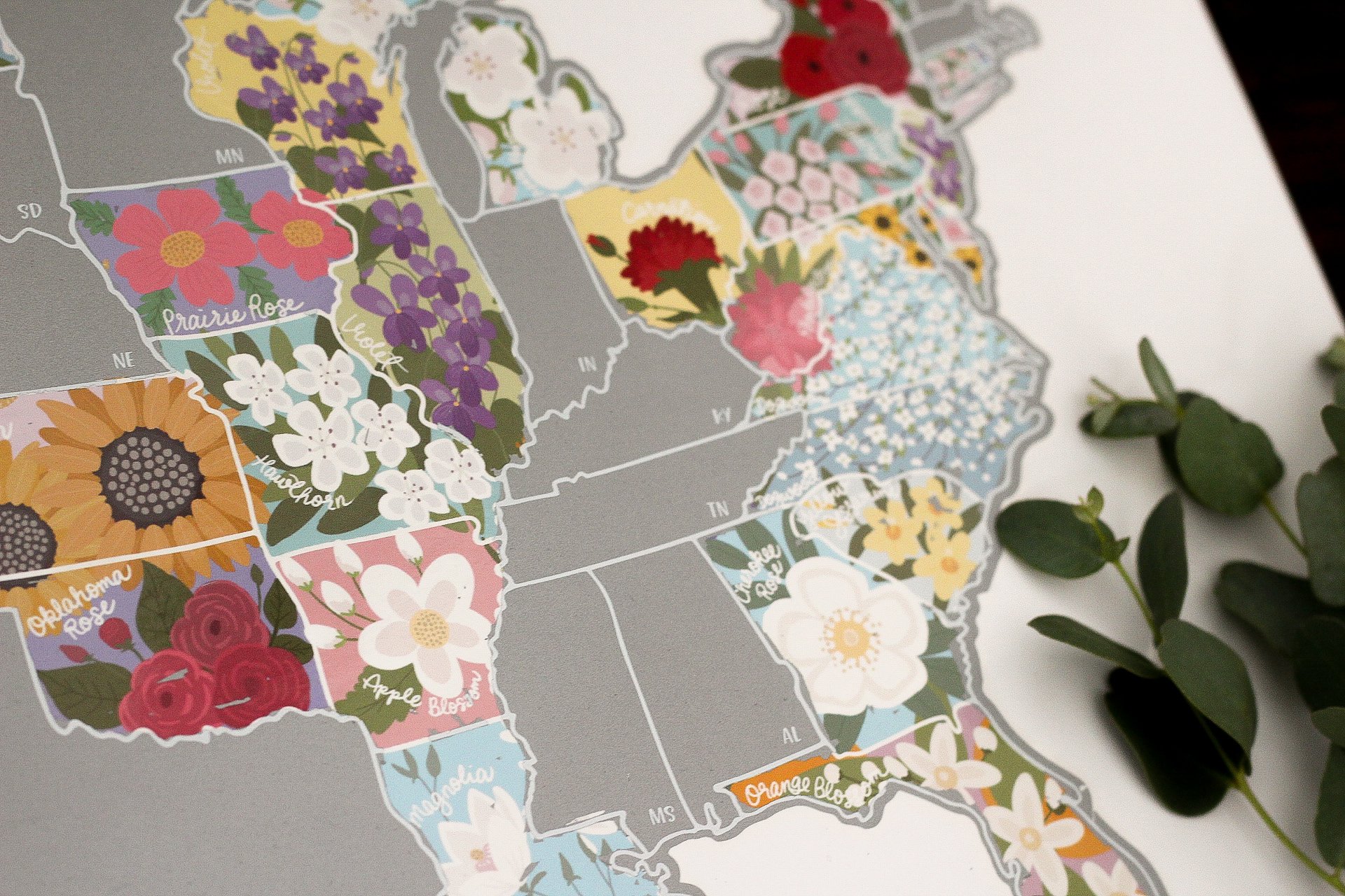 Scratch Your Travels® Official US State Flowers Map in Silver, featuring hand-drawn flowers and a silver scratch-off surface.